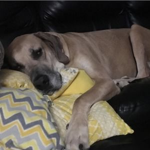 Meet your Posher, Merianne